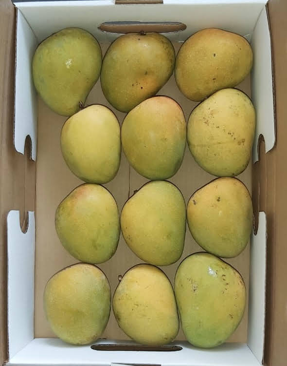 Alphonso / Badami - Farm's Finest Quality-3kg Box