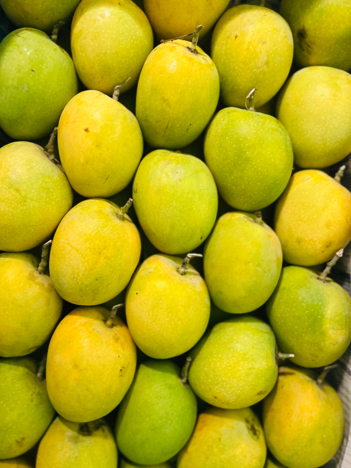 Alphonso / Badami - Farm's Finest Quality-3kg Box