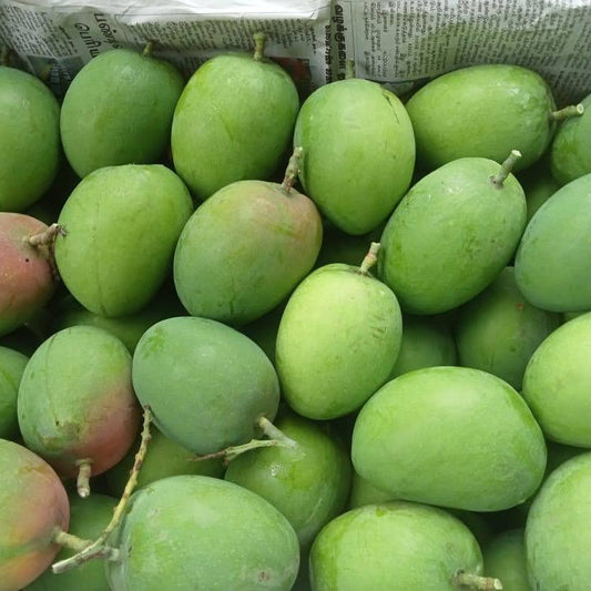 Ratnagiri Alphonso Farms Finest Quality -3kg Box