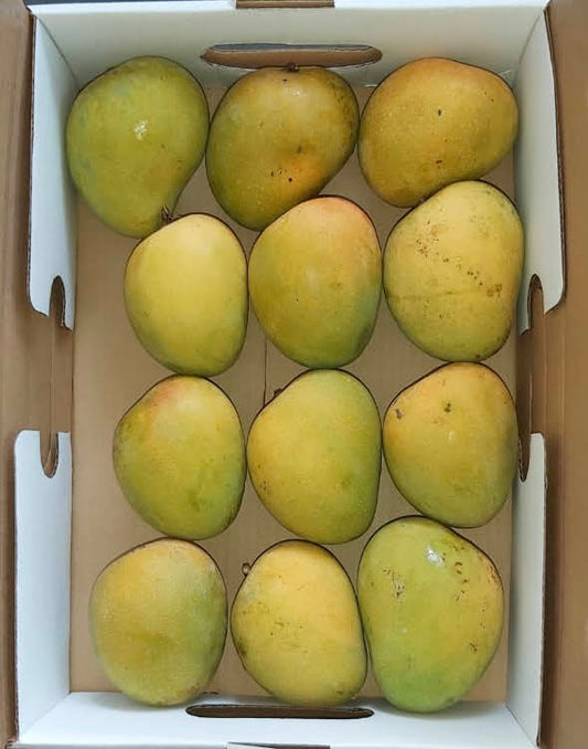 Alphonso / Badami - Farm's Finest Quality-3kg Box