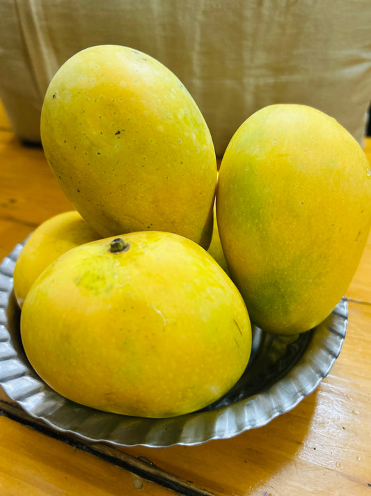Banganapalli/ Benishan Mango -3kg Box