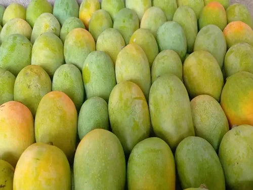 Kesar